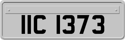 IIC1373