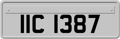 IIC1387