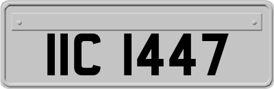 IIC1447