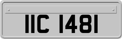 IIC1481