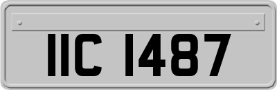 IIC1487
