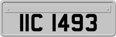 IIC1493