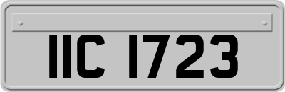 IIC1723