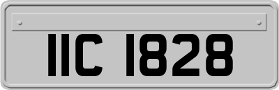IIC1828