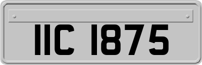 IIC1875