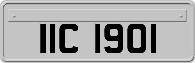 IIC1901
