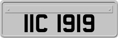 IIC1919
