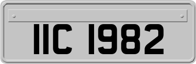 IIC1982