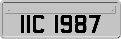 IIC1987