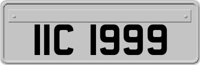 IIC1999