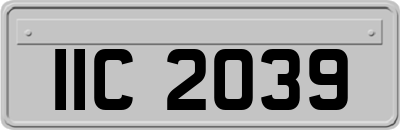 IIC2039