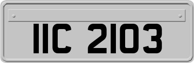 IIC2103