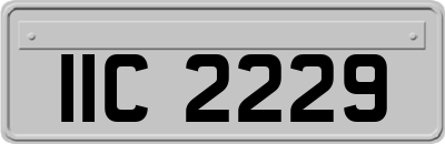 IIC2229