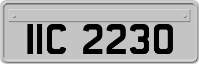 IIC2230
