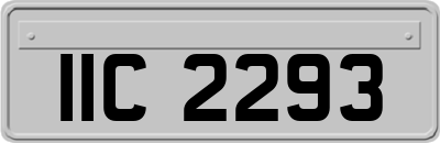IIC2293