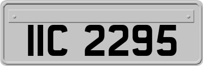 IIC2295
