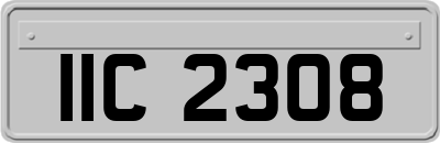 IIC2308