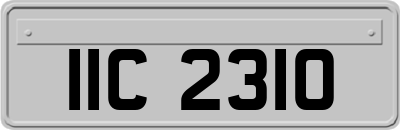 IIC2310