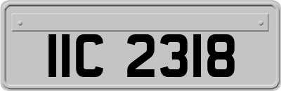IIC2318