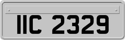 IIC2329