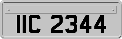IIC2344
