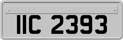 IIC2393