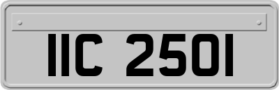 IIC2501