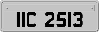 IIC2513