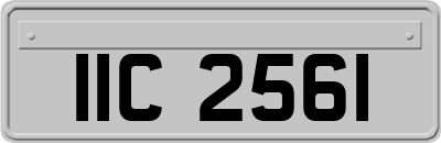 IIC2561