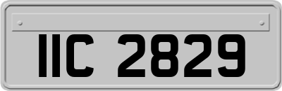 IIC2829