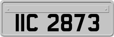 IIC2873
