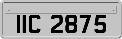 IIC2875
