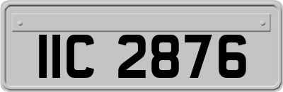 IIC2876