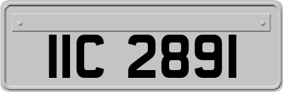 IIC2891