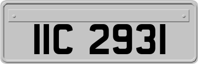 IIC2931