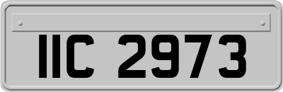 IIC2973