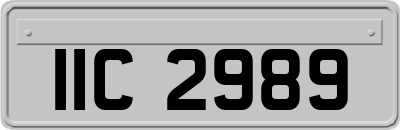 IIC2989