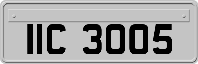 IIC3005