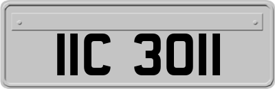 IIC3011