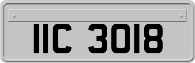 IIC3018