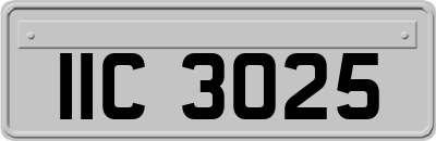 IIC3025