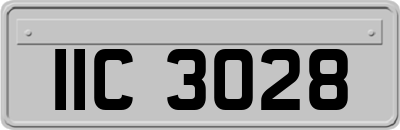 IIC3028