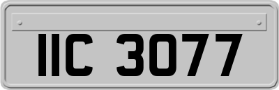 IIC3077