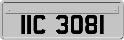 IIC3081