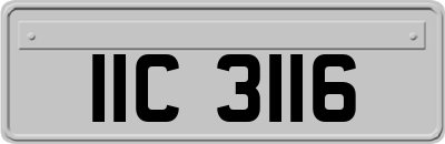 IIC3116