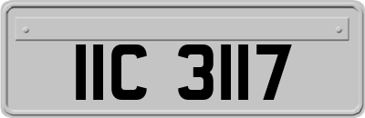 IIC3117