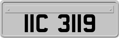 IIC3119
