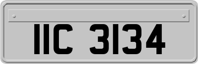 IIC3134