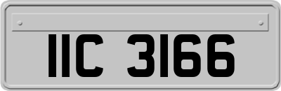 IIC3166
