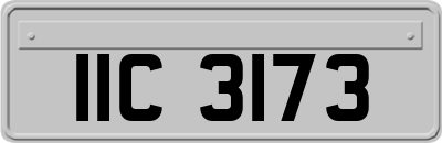 IIC3173